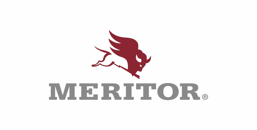 Поступление на склад - продукция MERITOR